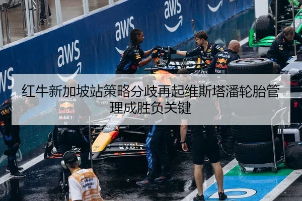 红牛新加坡站策略分歧再起维斯塔潘轮胎管理成胜负关键