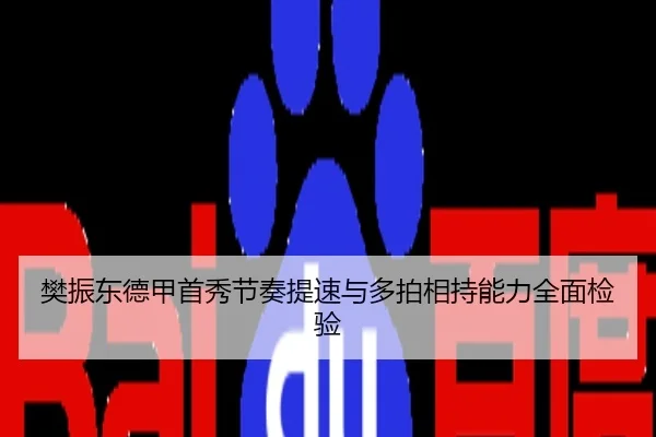 樊振东德甲首秀节奏提速与多拍相持能力全面检验